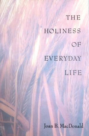 bigCover of the book The Holiness of Everyday Life by 