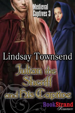 Cover of the book Julian the Sheriff and His Captive by Marcy Jacks