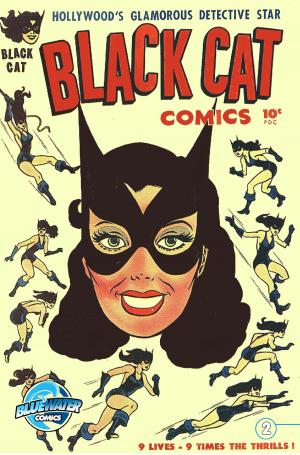 Cover of Black Cat Classic Comics by Bob Haney, StormFront Entertainment