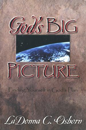 Cover of the book God's Big Picture by Wehrli, Sarah