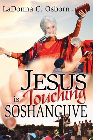 Book cover of Jesus is Touching Soshanguve