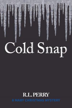 Cover of the book Cold Snap by Lew Freedman