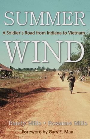 Cover of the book Summer Wind by Todd Outcalt