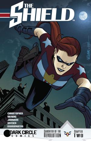 Cover of the book The Shield #2 by Writer, Waid, Mark; Writer, Haspiel, Dean; Artist, Haspiel, Dean; Artist, Passalaqua, Allen; Artist, Downer, Steve; Artist, Mike Cavallaro, Mike; Artist, Austin, Terry