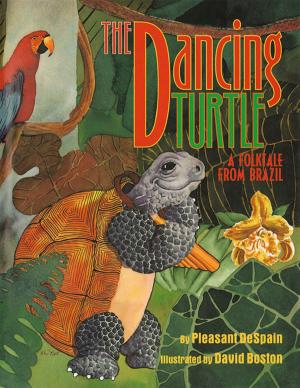 Cover of the book Dancing Turtle: A Folktale from Brazil by Margaret Read MacDonald