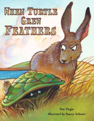 bigCover of the book When Turtle Grew Feathers: A Tale from the Choctaw Nation by 
