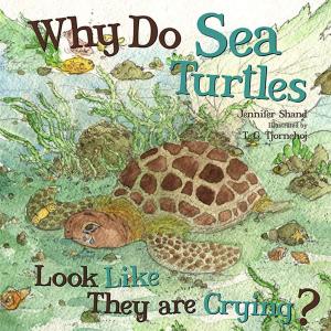Book cover of Why Do Sea Turtles Look Like They Are Crying?