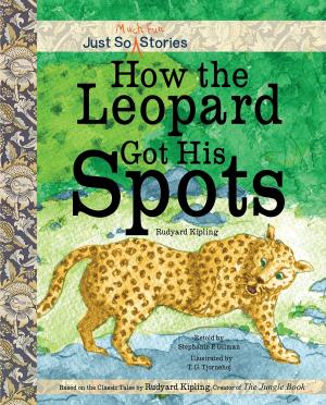 Cover of the book How the Leopard Got His Spots by Barbara deRubertis