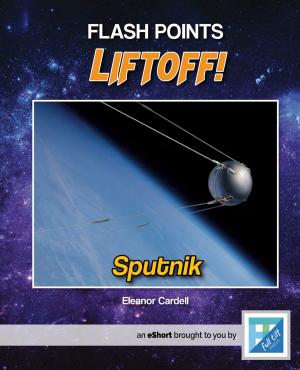 Cover of the book Sputnik by Andy Blackford