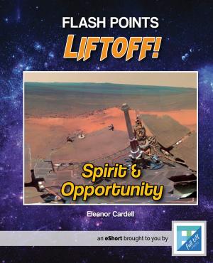 Cover of the book Spirit & Opportunity by Samantha Bell