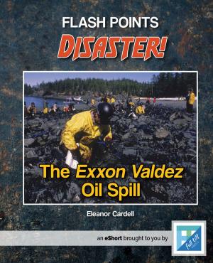 Cover of the book The Exxon Valdez Oil Spill by Rebecca Felix