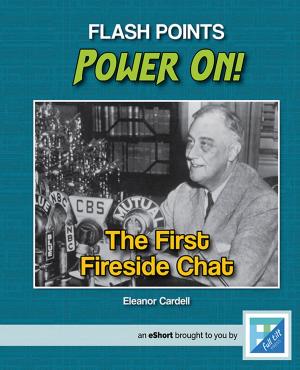 Cover of the book The First Fireside Chat by Barbara deRubertis