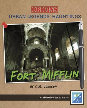 bigCover of the book Fort Mifflin by 