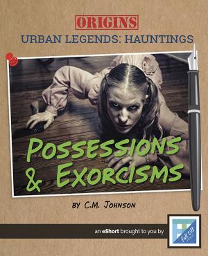 Cover of the book Possessions & Exorcisms by Kelly Calhoun