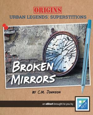 Cover of the book Broken Mirrors by Debbie Levy, Rosana Panza