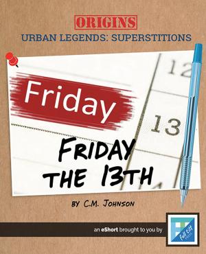 Cover of the book Friday the 13th by Megan Kopp