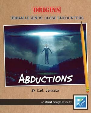 Cover of the book Abductions by Megan Kopp