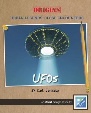 Cover of the book UFOs by Barbara deRubertis