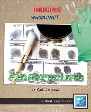 Cover of the book Fingerprints by Jenna Lee Gleisner