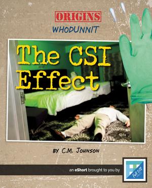 Cover of the book The CSI Effect by Linda Crotta Brennan