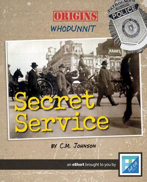 Book cover of The Secret Service