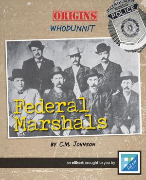 Cover of the book Federal Marshals by Kelly Calhoun