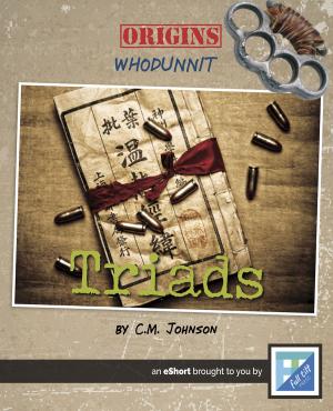 Cover of the book Triads by Doraine Bennett