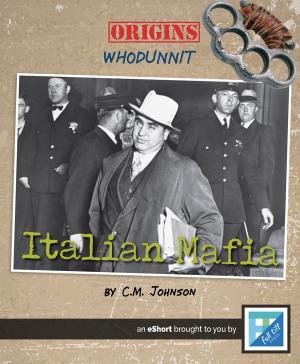 Cover of the book The Italian Mafia by Lori Haskins Houran