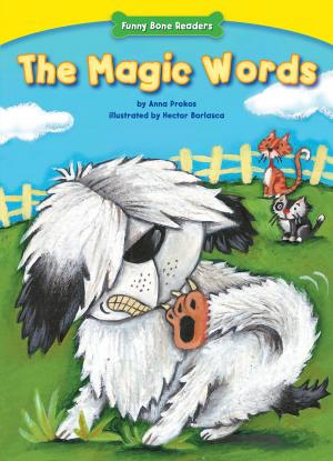 Cover of the book The Magic Words by Barbara deRubertis