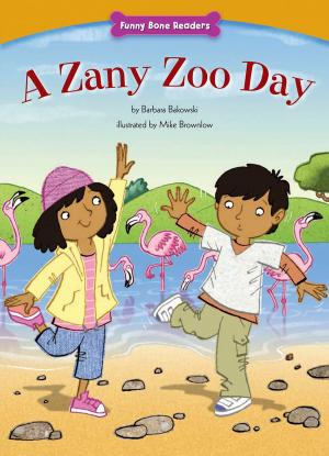 Cover of the book A Zany Zoo Day by Barbara deRubertis