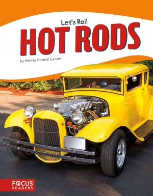 Cover of the book Hot Rods by Barbara deRubertis