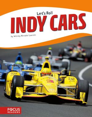 bigCover of the book Indy Cars by 