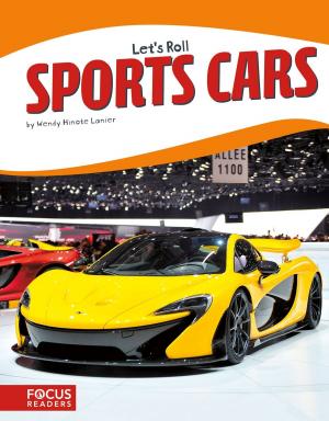Book cover of Sports Cars