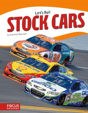 Cover of the book Stock Cars by Virginia Loh-Hagan