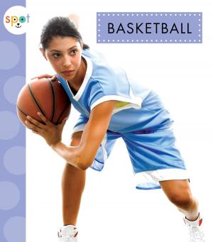 Cover of the book Basketball by Barbara deRubertis