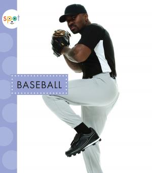 Cover of the book Baseball by K C Callaghan