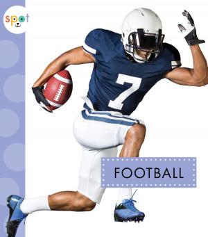 Cover of the book Football by Ashleigh Hally