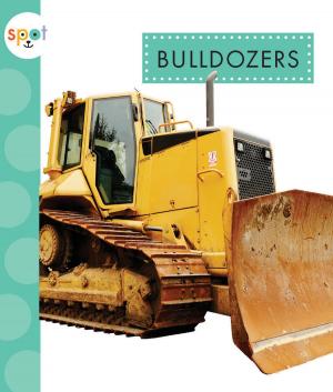 Cover of the book Bulldozers by Jennifer Colby