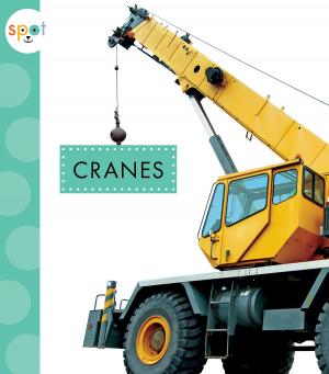 Cover of the book Cranes by Barbara deRubertis