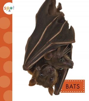 Cover of the book Bats by Margaret Hillert