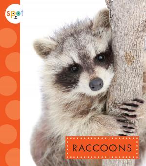 Cover of the book Raccoons by Eleanor Cardell