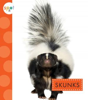 bigCover of the book Skunks by 