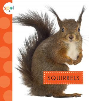 Cover of the book Squirrels by Ari Acevedo