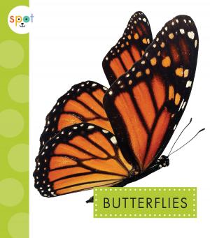 Cover of the book Butterflies by Katie Marsico