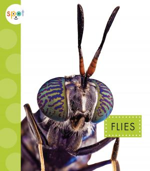 Cover of the book Flies by Barbara deRubertis