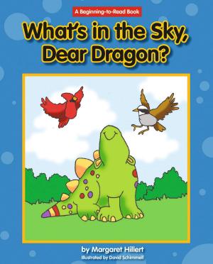 Cover of the book What's in the Sky, Dear Dragon? by Linda Crotta Brennan