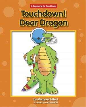 Cover of the book Touchdown! Dear Dragon by Linda Crotta Brennan