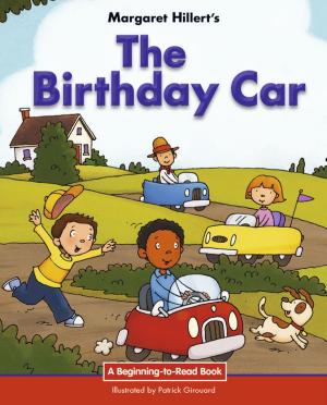 Book cover of The Birthday Car
