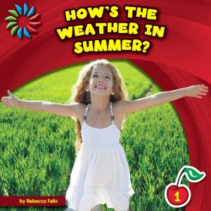Cover of the book How's the Weather in Summer? by Jenna Lee Gleisner