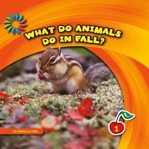 bigCover of the book What Do Animals Do in Fall? by 
